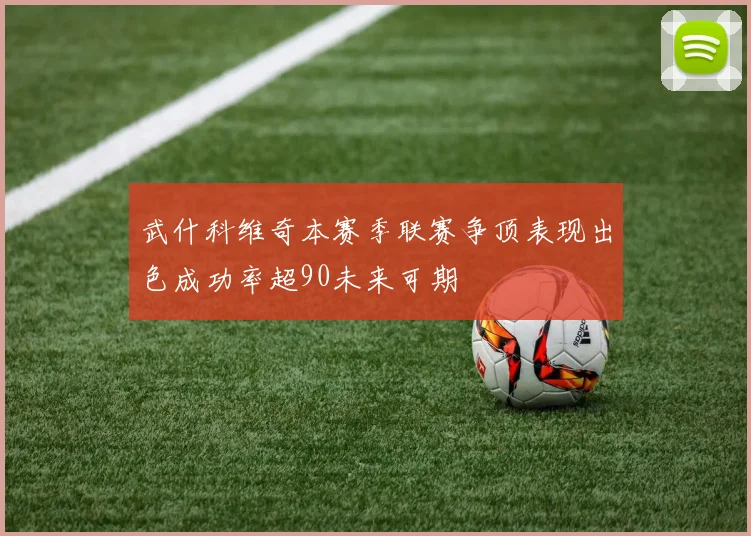 武什科维奇本赛季联赛争顶表现出色成功率超90未来可期