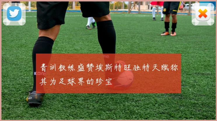 青训教练盛赞埃斯特旺独特天赋称其为足球界的珍宝